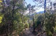 Loop trail from Santa Vittoria - Villa Loto - Sambuceto