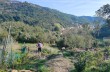 Loop trail from Santa Vittoria - Villa Loto - Sambuceto