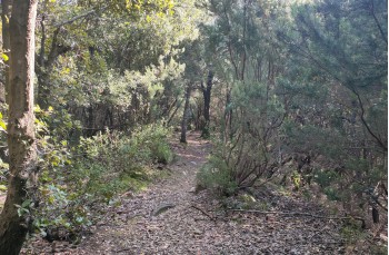 Loop trail from Santa Vittoria - Villa Loto - Sambuceto