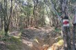 Loop trail from Santa Vittoria - Villa Loto - Sambuceto