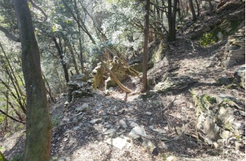 Loop trail from Santa Vittoria - Villa Loto - Sambuceto