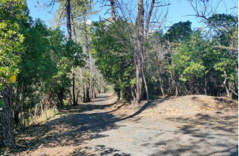 Loop trail from Santa Vittoria - Villa Loto - Sambuceto