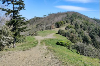 Itinéraire en boucle Santa Vittoria - Villa Loto - Sambuceto