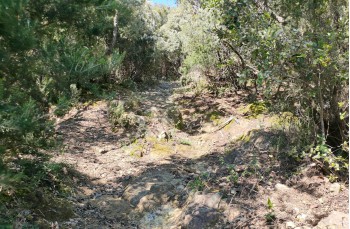 Rundweg Santa Vittoria - Villa Loto - Sambuceto