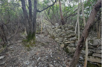 Loop trail San Quirico - Monte Pegge - San Maurizio