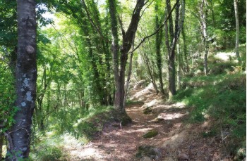 Kurze Rundwanderung von Montepegli nach Ciamazù und Ciassea