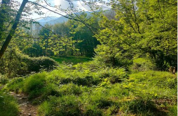 Itinéraire en boucle San Quirico - Monte Pegge - San Maurizio