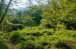 Trail ad anello San Quirico - Monte Pegge - San Maurizio