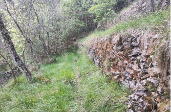 Rundweg San Quirico - Monte Pegge - San Maurizio
