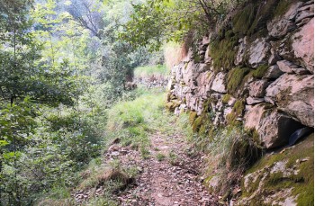 Loop trail San Quirico - Monte Pegge - San Maurizio