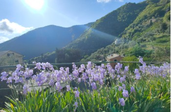 Trail ad anello San Quirico - Monte Pegge - San Maurizio