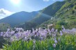 Rundweg San Quirico - Monte Pegge - San Maurizio