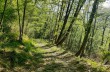 Rundweg San Quirico - Monte Pegge - San Maurizio