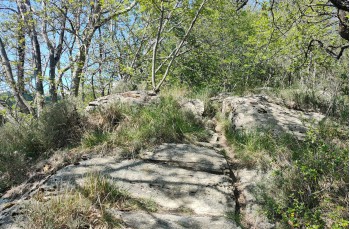 Trail ad anello San Quirico - Monte Pegge - San Maurizio
