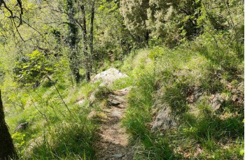 Trekking von San Quirico d'Assereto in Rapallo nach Montepegli