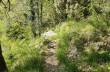 Trekking von San Quirico d'Assereto in Rapallo nach Montepegli