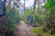 Trail ad anello da Cavi borgo a S. Eufemiano.