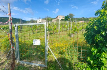 Rundweg von Cavi borgo nach S. Eufemiano