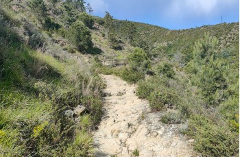 Loop trail from Cavi to Sestri levante