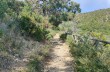 Rundweg von Cavi nach Sestri levante
