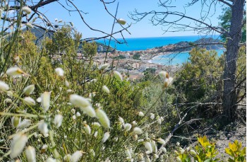 Loop trail from Cavi to Sestri levante