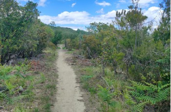 Rundweg von Cavi nach Sestri levante