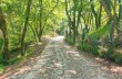 Rundweg Portofino Vetta, Felciara und Bocche