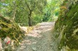 Rundweg Portofino Vetta, Felciara und Bocche
