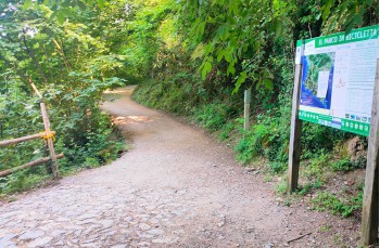 Rundweg Portofino Vetta, Felciara und Bocche