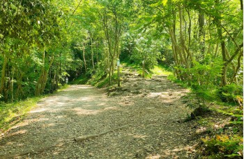Rundweg Portofino Vetta, Felciara und Bocche