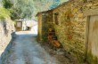 Co' di Montepegli