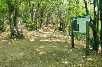 Rundweg Portofino Vetta, Felciara und Bocche