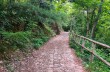 Rundweg Portofino Vetta, Felciara und Bocche