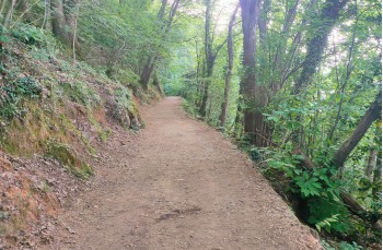 Rundweg Portofino Vetta, Felciara und Bocche