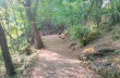 Rundweg Portofino Vetta, Felciara und Bocche