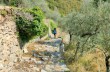 Da S. Quirico a Montepegli