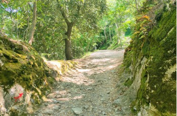 Spaziergang von Ruta di Camogli nach Portofino Vetta