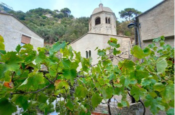 Trail ad anello da Portofino vetta per San Fruttuoso e Passo del Bacio.