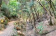 Rundweg von Portofino Vetta nach San Fruttuoso und Passo del Bacio