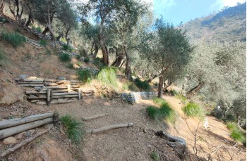 Sentier en boucle de Portofino Vetta à San Fruttuoso et Passo del Bacio.