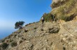 Trail ad anello da Portofino vetta per San Fruttuoso e Passo del Bacio.
