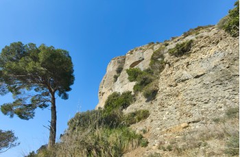 Circular trail from Portofino Vetta to San Fruttuoso and Passo del Bacio
