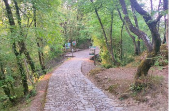 Rundweg von Portofino Vetta nach San Fruttuoso und Passo del Bacio