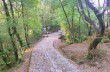 Rundweg von Portofino Vetta nach San Fruttuoso und Passo del Bacio