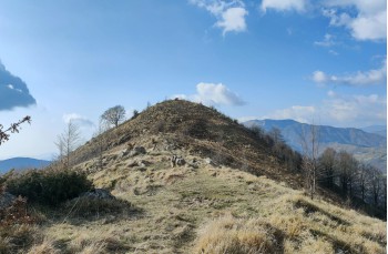 Trail ad anello Passo del Biscia - Monte Porcile - Monte Verruga - Colle dei Valletti