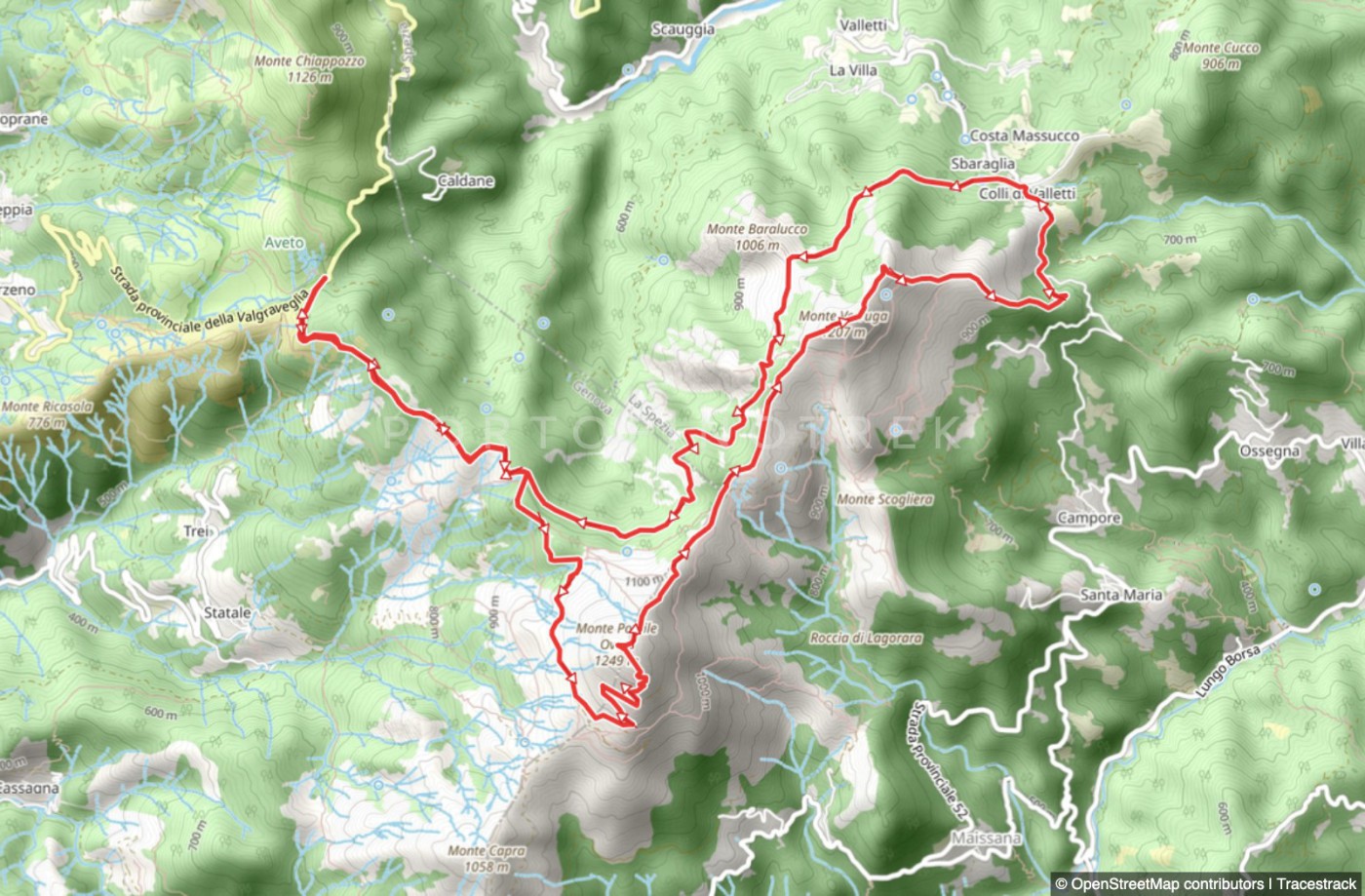 Loop trail Passo del Biscia - Monte Porcile - Monte Verruga - Colle dei Valletti