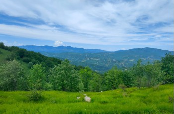 Trail ad anello Passo del Biscia - Monte Porcile - Monte Verruga - Colle dei Valletti