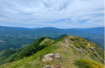 Rundweg Passo del Biscia - Monte Porcile - Monte Verruga - Colle Valletti