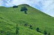 Itinéraire en boucle Passo del Biscia - Monte Porcile - Monte Verruga - Colle dei Valletti