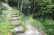 Loop trail Rapallo - San Rocco di Camogli - Semaforo nuovo - S. Margherita ligure